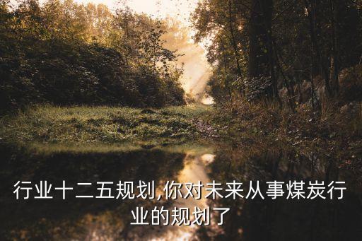 行业十二五规划,你对未来从事煤炭行业的规划了