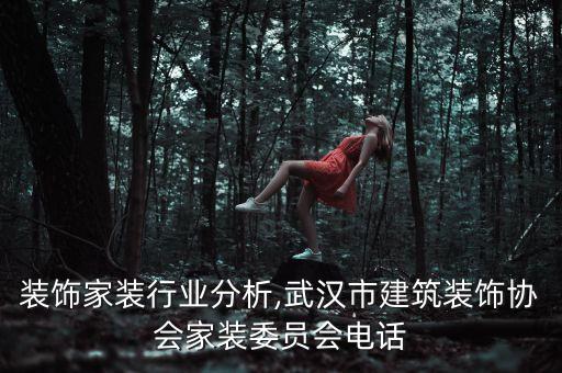 建筑装饰家装行业分析,武汉市建筑装饰协会家装委员会电话