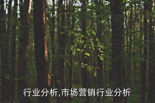 行业分析,市场营销行业分析