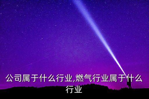 燃气公司属于什么行业,燃气行业属于什么行业