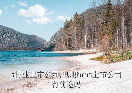 bms行业上市公司,电池bms上市公司有前途吗