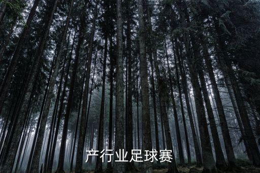 产行业足球赛