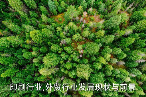 外贸印刷行业,外贸行业发展现状与前景
