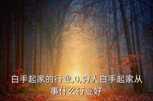 未来白手起家的行业,0,穷人白手起家从事什么行业好