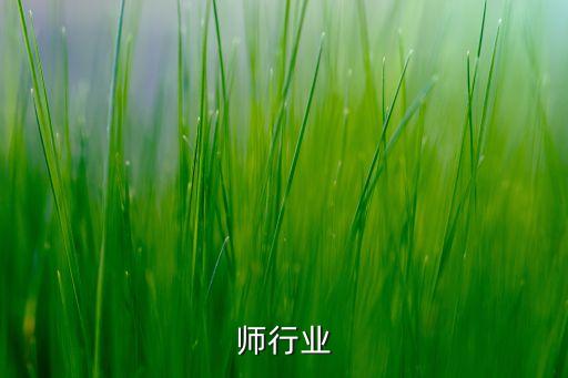 师行业