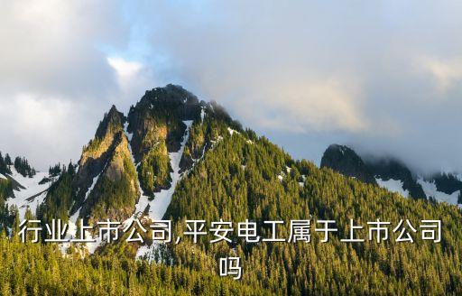 电工行业上市公司,平安电工属于上市公司吗