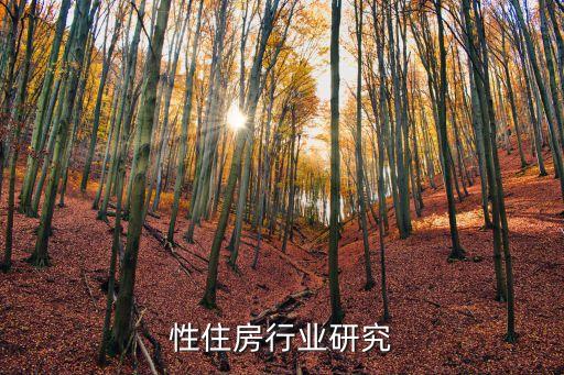 性住房行业研究