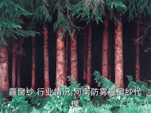 防雾霾窗纱 行业情况,河南防雾霾窗纱代理
