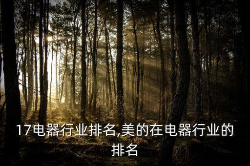 17电器行业排名,美的在电器行业的排名