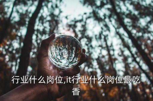 行业什么岗位,it行业什么岗位最吃香