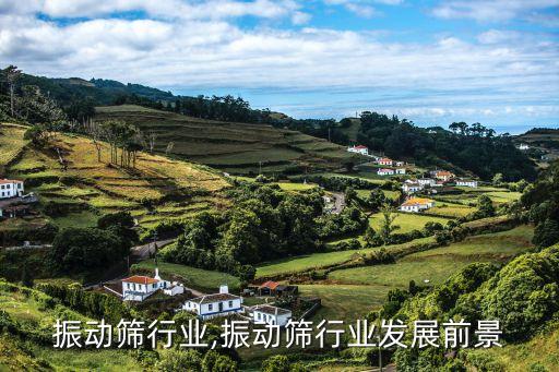 振动筛行业,振动筛行业发展前景