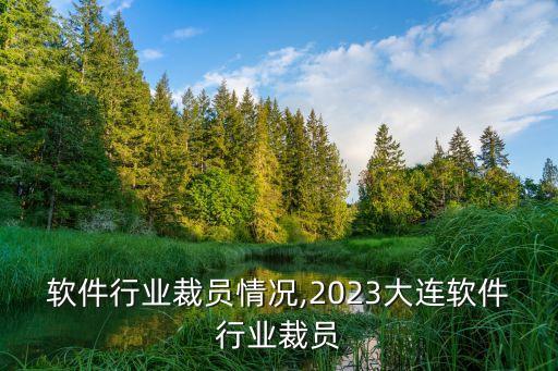 今年软件行业裁员情况,2023大连软件行业裁员