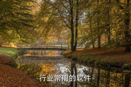 行业常用的软件