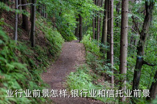 信托业行业前景怎样,银行业和信托业前景