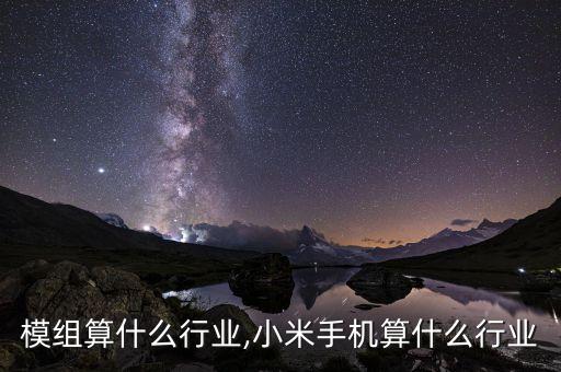 模组算什么行业,小米手机算什么行业