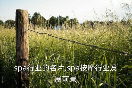 按摩spa行业的名片,spa按摩行业发展前景