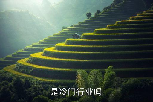 是冷门行业吗