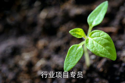 行业项目专员