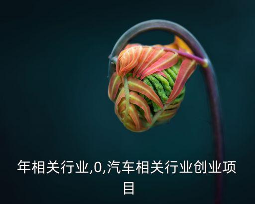 中老年相关行业,0,汽车相关行业创业项目