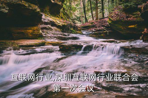 深圳 互联网行业,深圳互联网行业联合会第一次会议