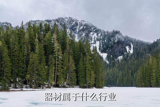 器材属于什么行业
