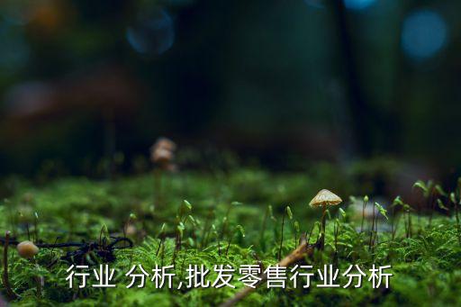 行业 分析,批发零售行业分析