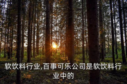 软饮料行业,百事可乐公司是软饮料行业中的