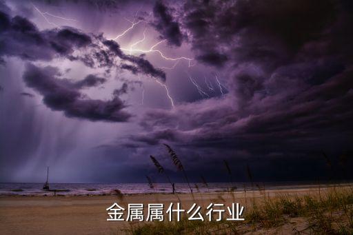 黑色金属属什么行业