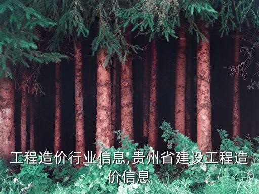 建设工程造价行业信息,贵州省建设工程造价信息