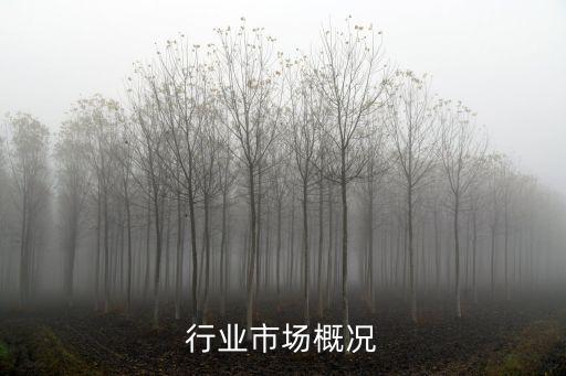 行业市场概况