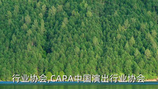 行业协会,CAPA中国演出行业协会