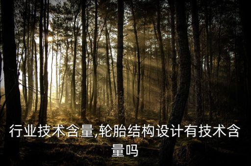 轮胎行业技术含量,轮胎结构设计有技术含量吗
