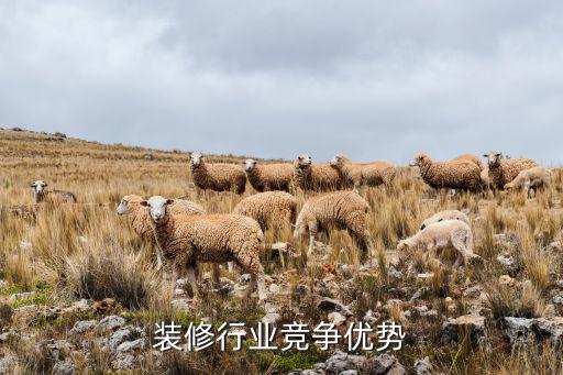 装修行业竞争优势