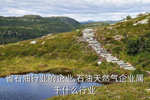 陕西省石油行业的企业,石油天然气企业属于什么行业