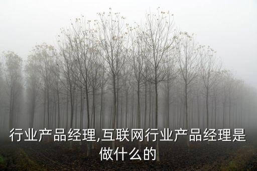 行业产品经理,互联网行业产品经理是做什么的
