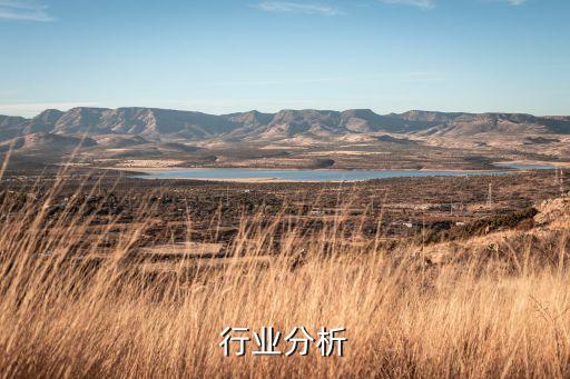 行业分析