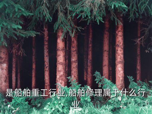 是船舶重工行业,船舶修理属于什么行业