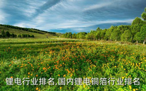 新乡锂电行业排名,国内锂电铜箔行业排名
