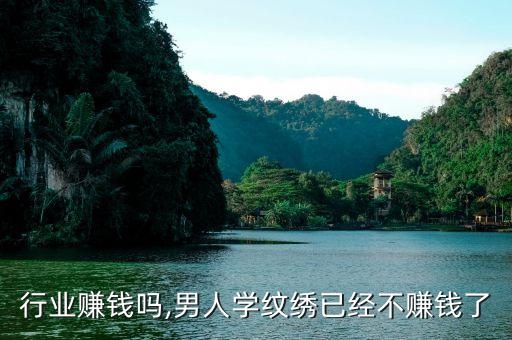 纹绣行业赚钱吗,男人学纹绣已经不赚钱了