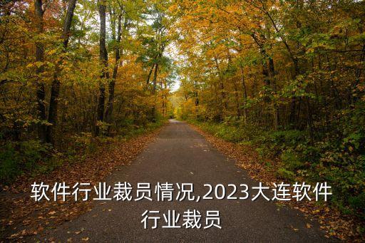 软件行业裁员情况,2023大连软件行业裁员