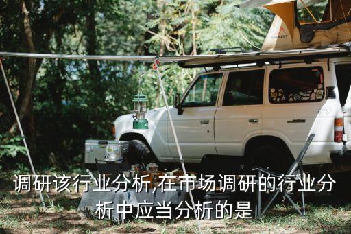 市场调研该行业分析,在市场调研的行业分析中应当分析的是