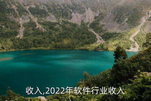 收入,2022年软件行业收入