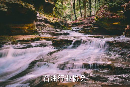 武汉石油行业协会
