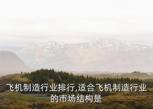 飞机制造行业排行,适合飞机制造行业的市场结构是