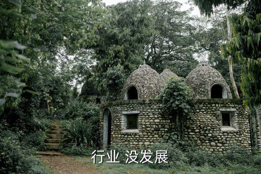 ic行业 没发展