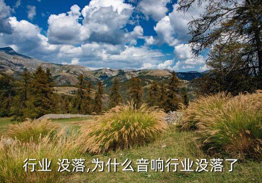 行业 没落,为什么音响行业没落了