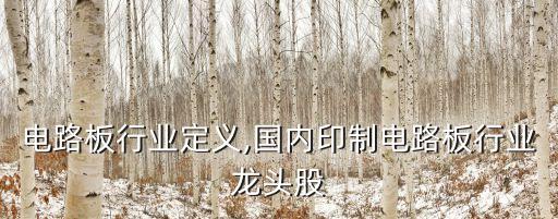 电路板行业定义,国内印制电路板行业龙头股