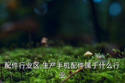 手机配件行业区,生产手机配件属于什么行业