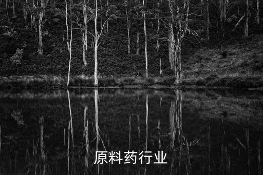 医药原料药行业