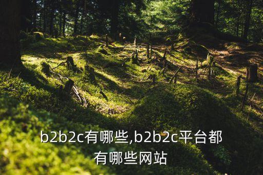 b2b2c有哪些,b2b2c平台都有哪些网站